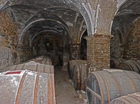Barrels of wine stored in an underground wine cellar