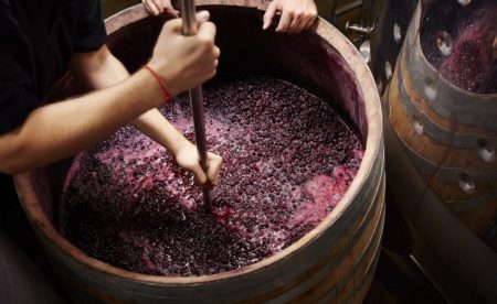 Red grapes being stirred by hand in a large barrel at a winery