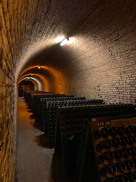 Underground wine cellar with hundreds of bottles of wine